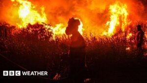 Read more about the article Record global temperatures possible as chance of a ‘super El Niño’ grows