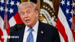 Read more about the article Trump says US will pause operation to guide ships through Strait of Hormuz – live updates