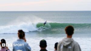 Read more about the article World Surf League photographer bitten by sea creature
