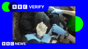 Read more about the article Nowak murder: Key moments of police bodycam footage