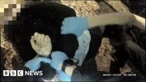 Read more about the article Police bodycam shows officers handcuffing Henry Nowak
